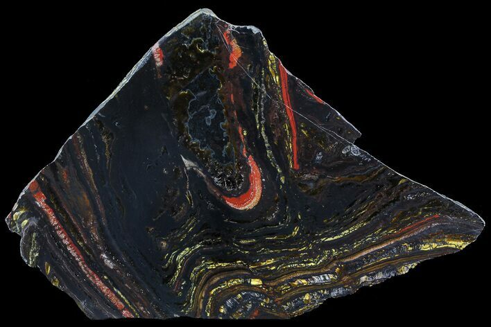 Polished Tiger Iron Stromatolite - ( Billion Years) #69781